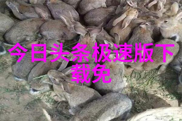 窗边诱惑-偷窥者与被窥者趴窗户上做给对面看的秘密游戏