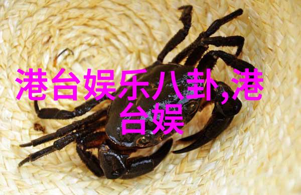 iPad新一代轻巧而强大触控未来