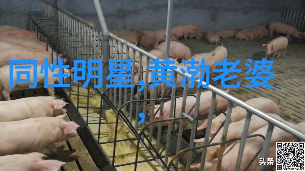 绝命回响销魂殿的沉默之声