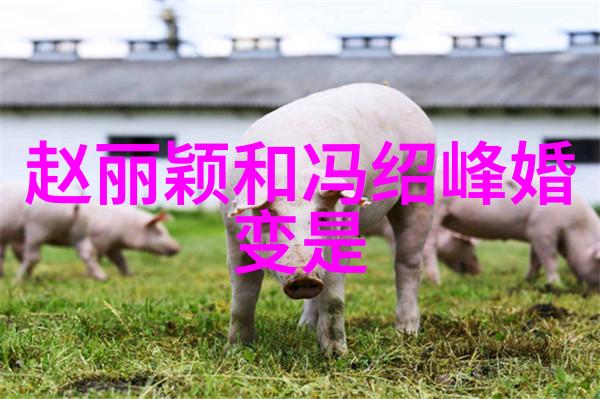 白鹿电视剧知否主角光环何在