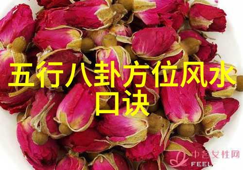 从内容到传播哪些环节让原炀头条文章能够以令人惊叹的速度呈现给读者