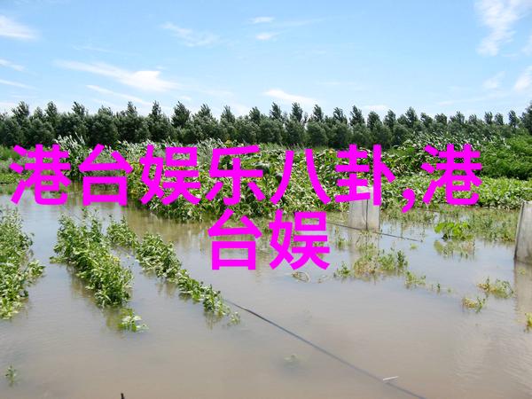 时尚娱乐八卦明星红毯造型电影颁奖礼上的时尚亮点