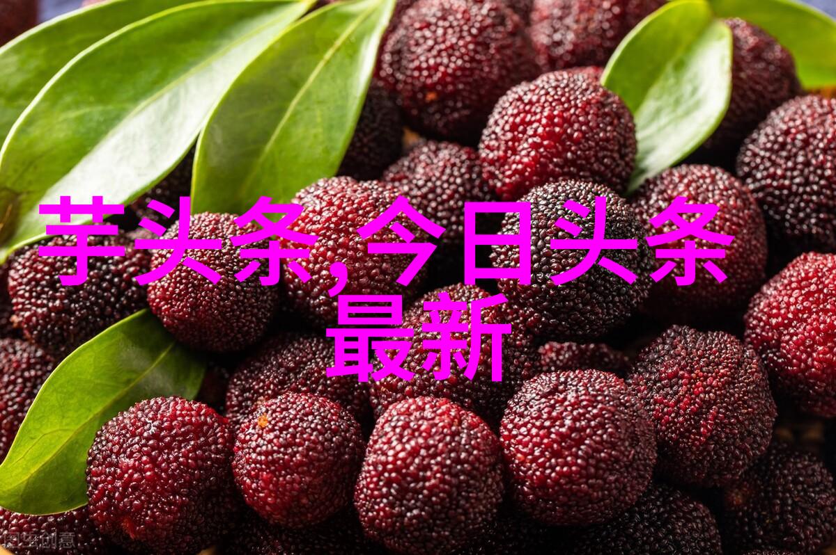 我曾经是他的伴侣现在成了他人的竞争对手分手后的爆红之旅