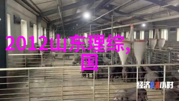 漂移星辰的孤行者