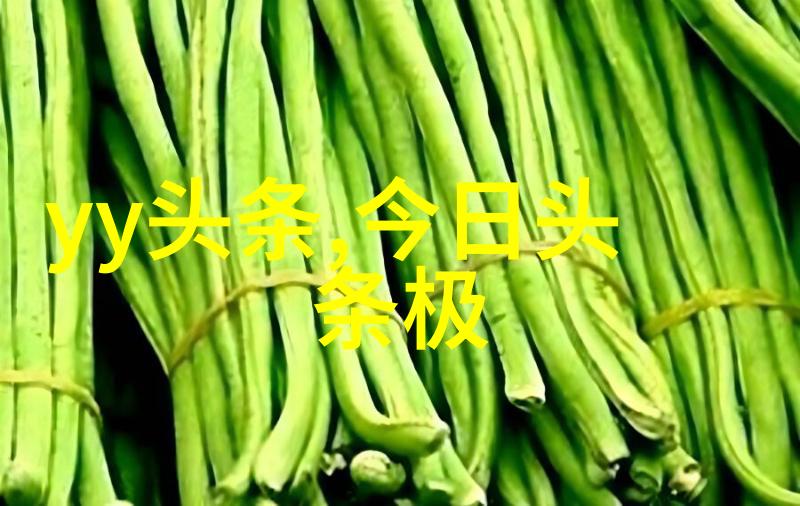 定位自我动力不懈揭秘如何赢得头条关注