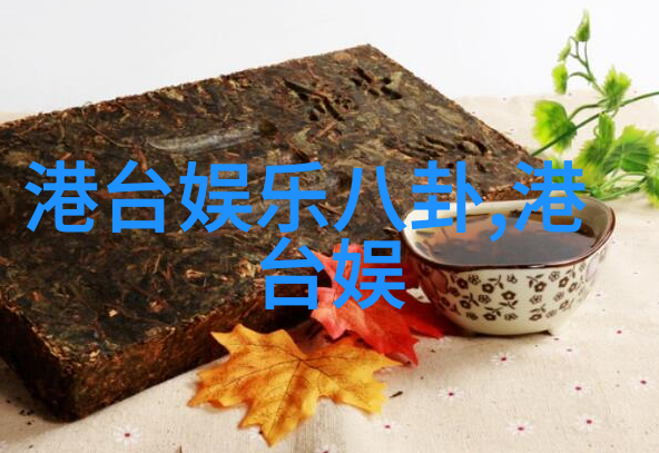 佟丽娅傍上林允星光大赏的美女搭档