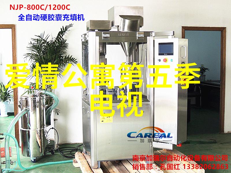 家中欢声笑语的日子