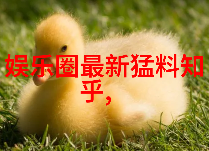皇恩娱乐我在这里的秘密生活揭秘那些只为你而活的明星们