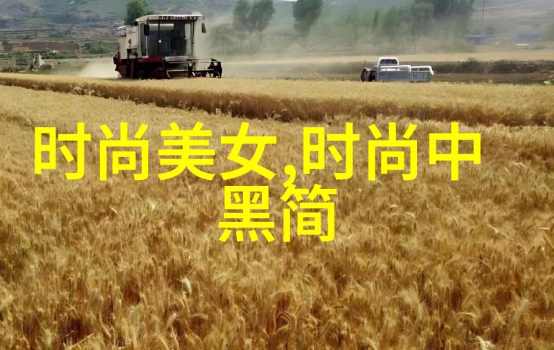 五行八卦的秘密中国古代占星术与五行理论的联系
