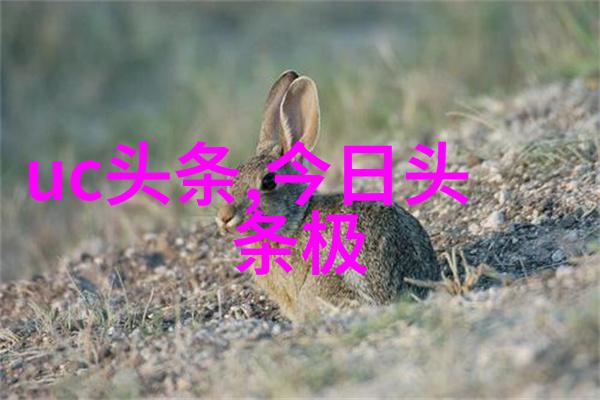 许婧陈赫的老婆如同时尚女装上的精致珠宝璀璨夺目