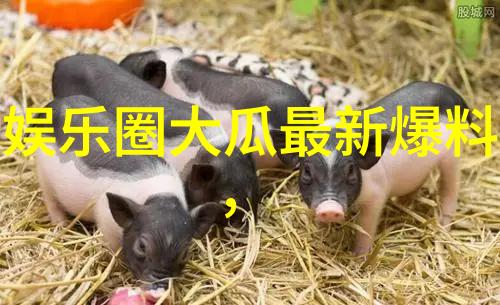 吉克隽逸在上海国际时尚中心闪耀演绎出Millies 2013春夏的时尚之韵