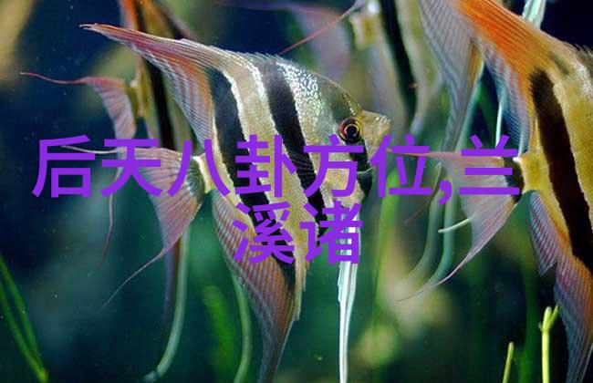 半是蜜糖半是伤重燃热度枕上书定档杨幂缺席的三生三世还能吸引观众吗