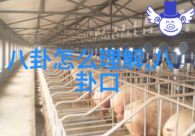 亚洲风情女神的私密瞬间舒淇写真集展现柔美魅力