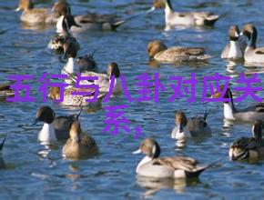 逆袭美艳从平凡到艺术写真的奇迹变身