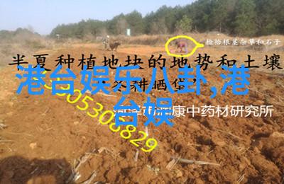 重生影后-逆袭之星从默剧演员到银屏霸主的传奇