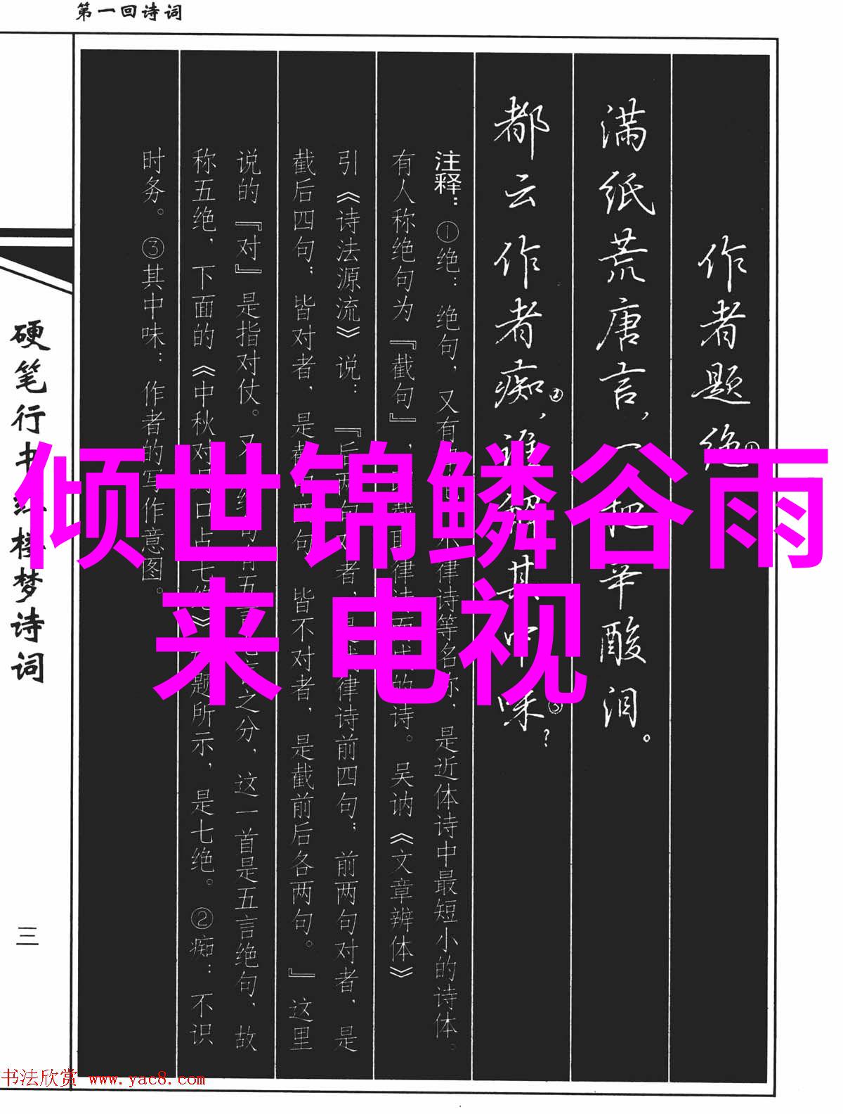 时代少年团的快乐冒险综艺中的友情与成长