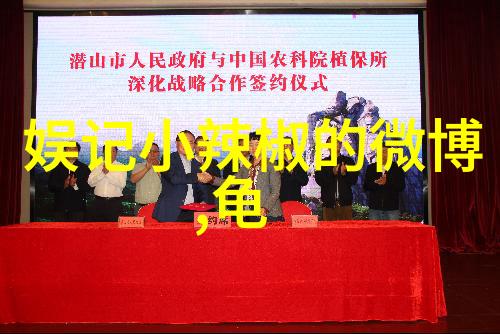 徐若瑄写真女神高圆圆帅气俏丽知性模仿大师