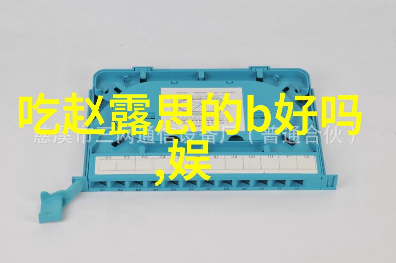 偶然走红我如何误入综艺镜头并成为网红