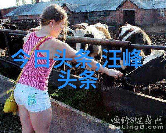 张紫妍被大佬走旱路细节-风华绝代张紫妍与豪门巨擘的旱路相遇