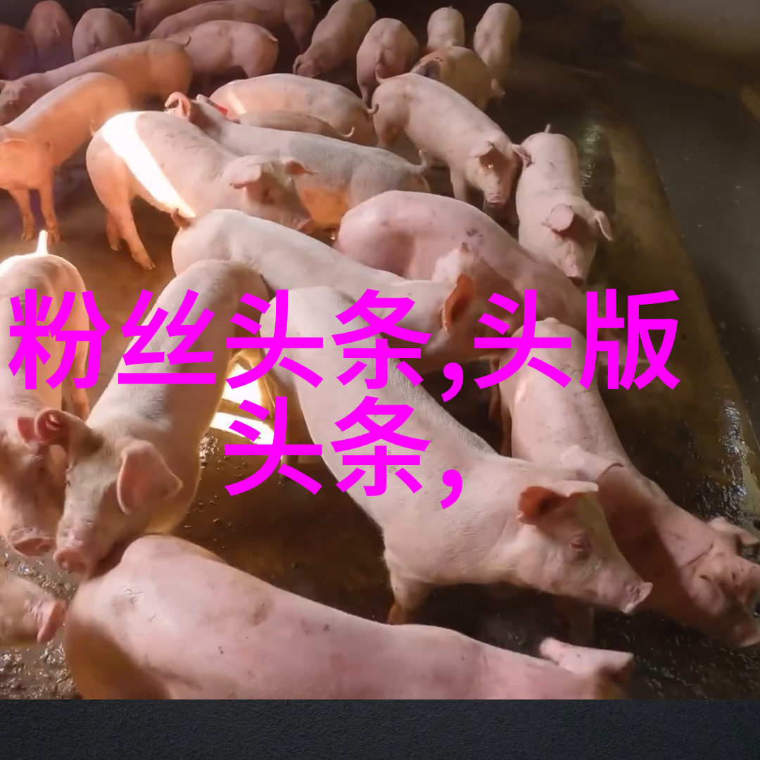 真假梅兰芳