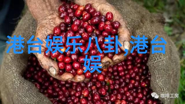 演技帝的秘密他们是如何在娱乐圈脱颖而出的