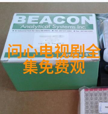 三级电影与其他类型影片相比有哪些特点