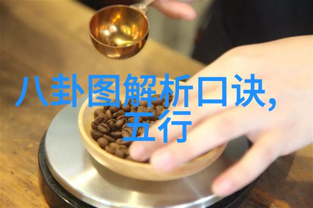 易经八卦深度解读古代智慧的象形预言
