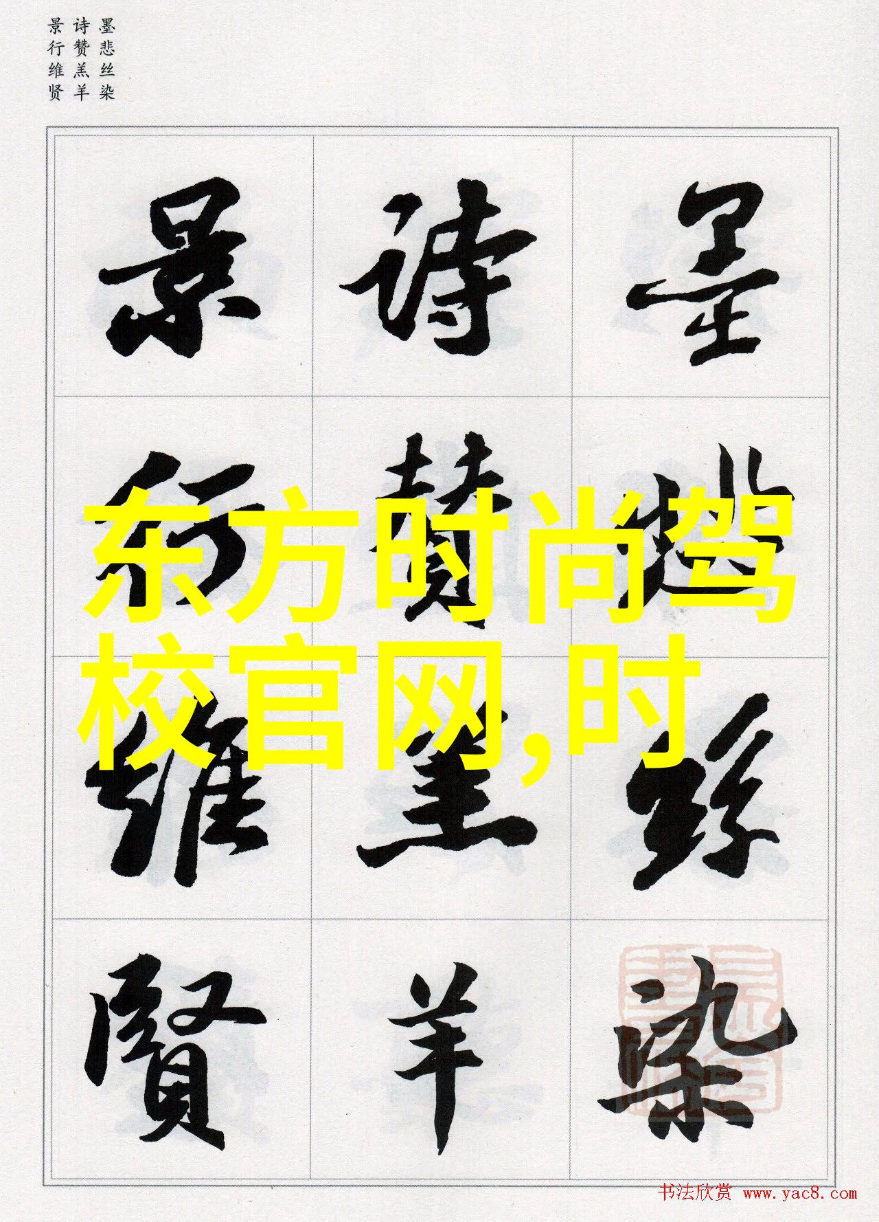 东方时尚驾校引领未来驾驶风潮的智选之地