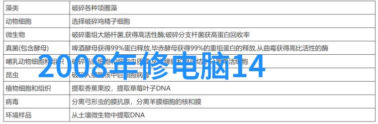 百首纯音乐经典的魅力与深度