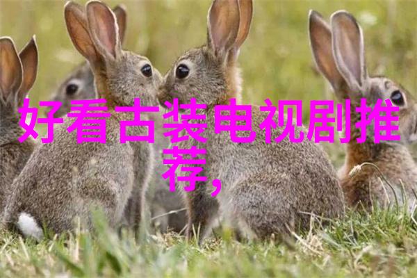 音符的传递揭秘免费音乐播放器的魅力
