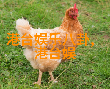 抖音热榜揭秘最火的十大神曲背后的音乐魅力