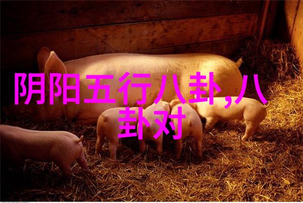 张碧晨现身浙江卫视超级秀为现场染上色彩免费高品质无损mp3下载岂不是让粉丝们更加激动