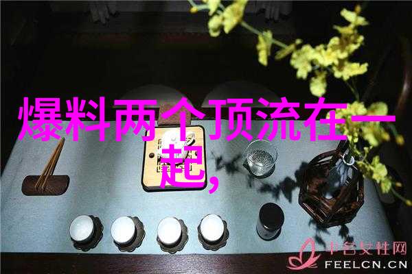 飘花电影网呈现第六届温哥华华语电影节红枫叶奖热门参赛影片报名启事