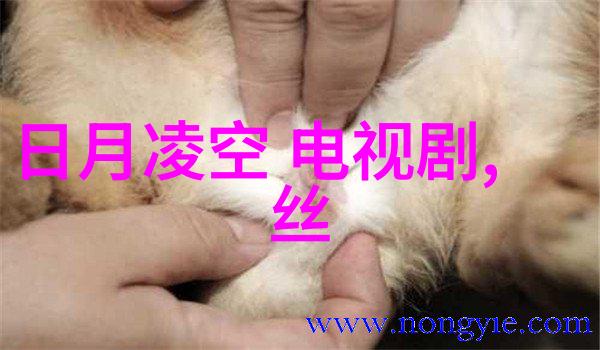 为什么现在大陆人不能去台湾2010年考研英语阅读理解全文翻译及解析2010年英语一阅读答案