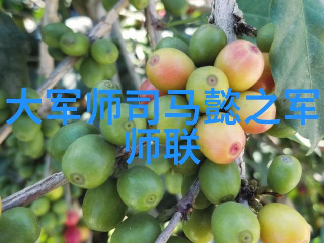 生活点滴我和老公的网红日常从咖啡店到景点的拍照之旅