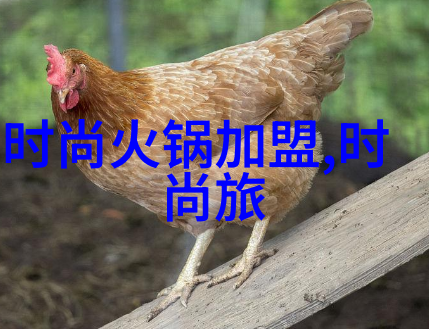 头条网揭秘数据驱动的新闻传播新时代