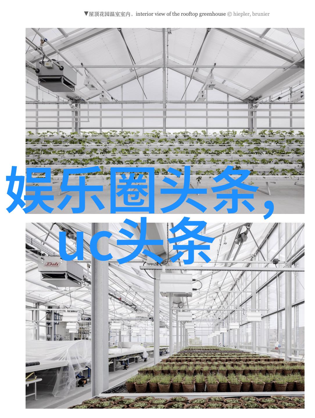 银河综艺馆跨星际娱乐与文化交流的研究