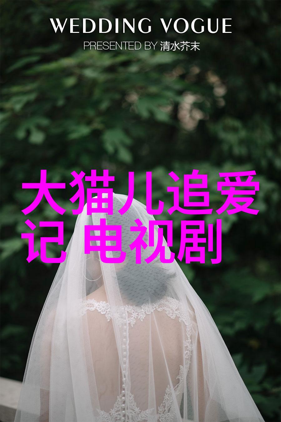 镜头下的无限艺术写真的边界之旅