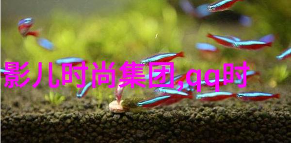 娱乐至死李荣浩前女友陆瑶惊人的变迁令人难以认出