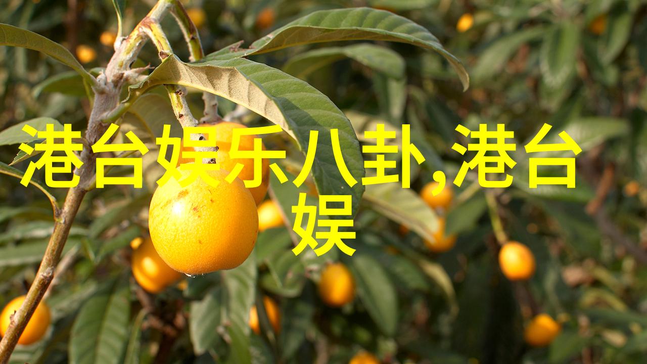 电影银幕下的梦想与现实交织