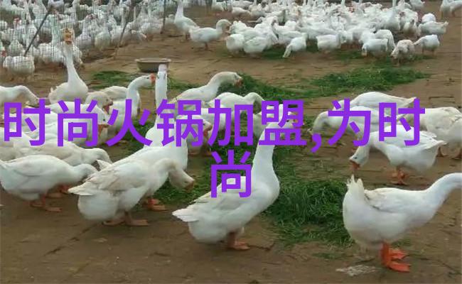 麦迪老婆时尚婚纱照亮相社会引发时尚包包加盟热潮