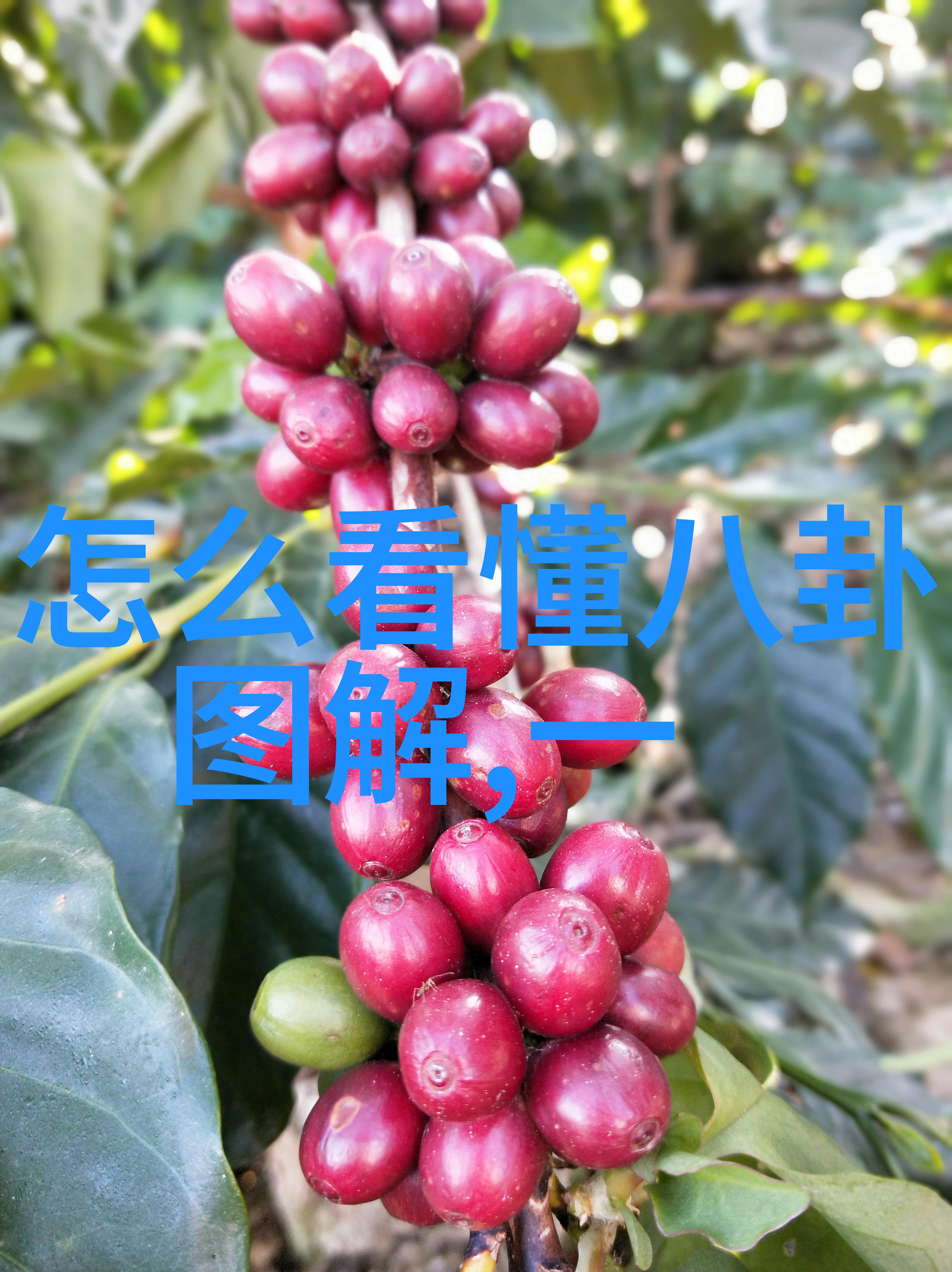 东京热 影音我是如何在夜深人静时悄悄体验日本AV的秘密世界