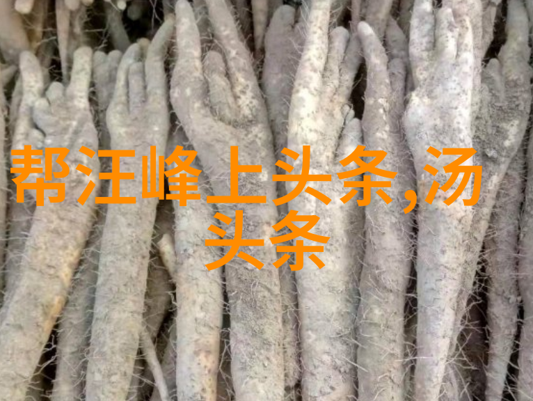 娜扎花少变身野生动物饲养员 哈纳斯挑战不断热度攀升