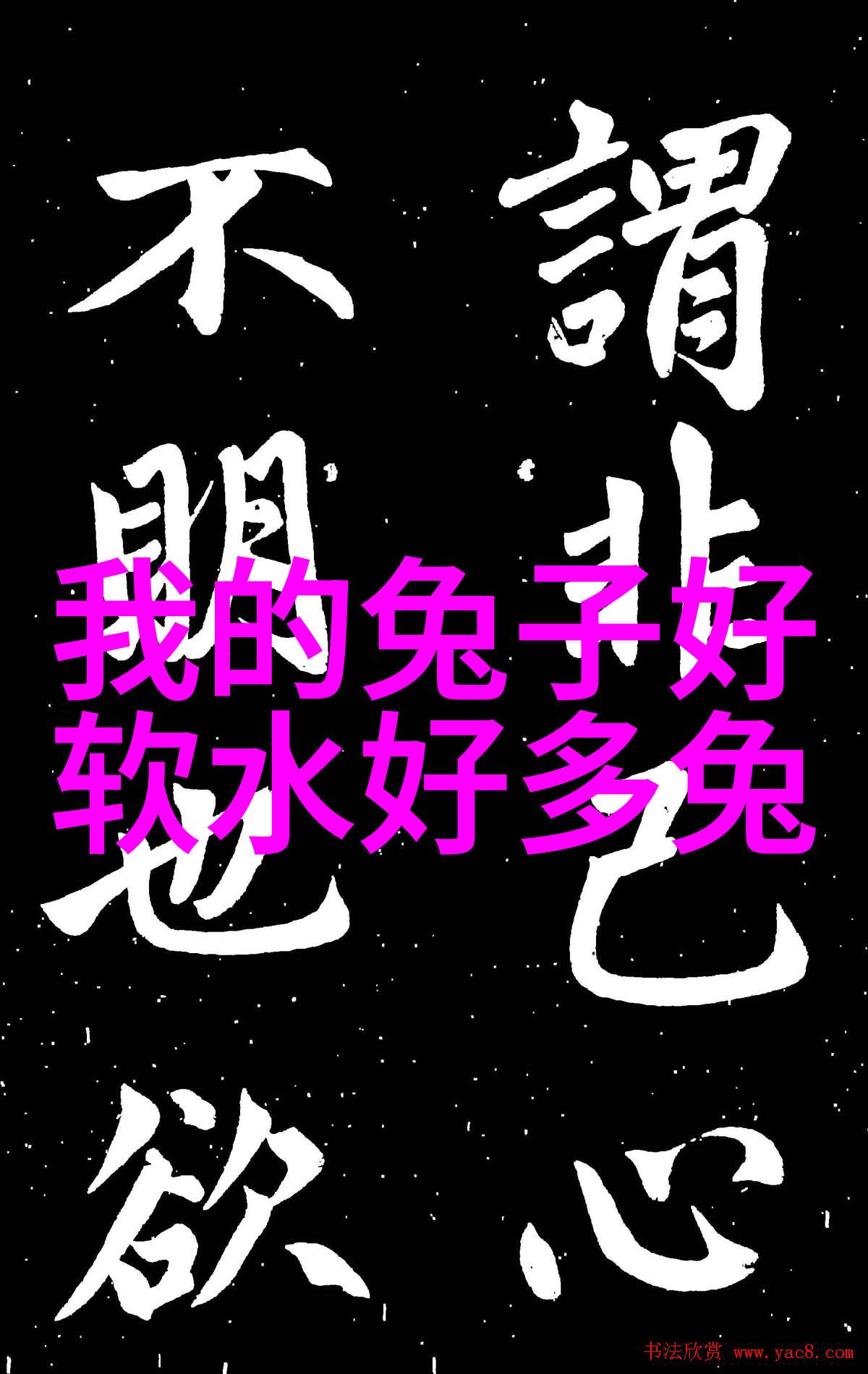 最正宗的太极八卦图中国古代哲学与武术的精髓
