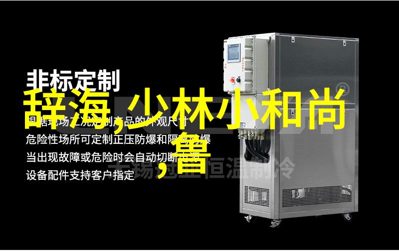 捕捉时光的片段纪录片在八角笼中的角色