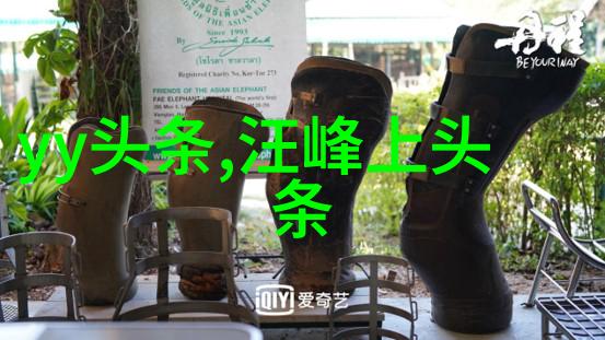 娱乐后宫重生香港香港娱乐圈的奇幻重生