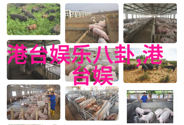 啊哈哈啊哈真棒啊大叔头条-笑声与成就大叔头条新闻的快乐力量