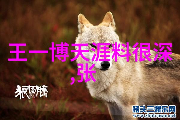 超陆理论与未来地球形态演变探索大陆漂移的终极前景