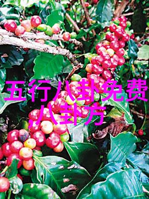 绽放的艺术光影中的美丽