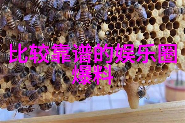天文算命星运解析在手
